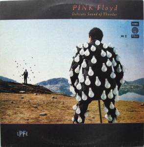 Pink Floyd - Delicate Sound Of Thunder. № 1