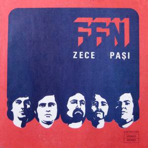 FFN - Zece Pasi