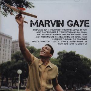 Gaye, Marvin - Icon