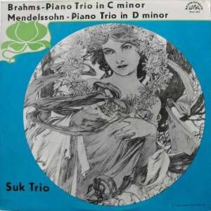 Johannes Brahms - Piano Trio In C Minor / Piano Trio In D Minor