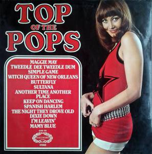 The Top Of The Poppers - Top Of The Pops Vol. 20