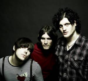 The Virginmarys